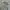 H&M Vintage Legging Kids gray photo 1
