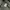 Nike Gorpcore Puffer jacket Pria tan brown photo 8