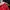 Ben Davis Streetwear Skater Casual pants Pria red photo 7