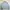 Champion Casual Sweatshirt Pria gray photo 1