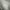 Champion Casual Sweatshirt Pria gray photo 4