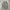 Polo Ralph Lauren Streetwear Casual Casual shirt Pria gray photo 8