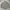 Polo Ralph Lauren Streetwear Casual Casual shirt Pria gray photo 1