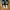 Kenzo Luxury Lolita Wanita black photo 1
