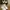 Asics Y2K Sneakers Pria white photo 2