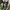 Nike Streetwear Sportswear Sneakers Pria green black photo 4
