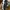 Nike Streetwear Sportswear Sneakers Pria green black photo 1