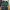 Nike Streetwear Sportswear Sneakers Pria green black photo 6