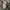 MLB Y2K Denim jacket Pria gray photo 4