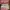Louis Vuitton Luxury Wanita pink cream photo 5