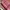 Louis Vuitton Luxury Wanita Pink Cream