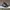 VANS Casual Sneakers Wanita white black photo 7
