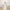 Nike Streetwear Sportswear Sneakers Pria orange gray photo 7
