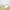 Adidas Sportswear Casual Sneakers Pria white green photo 1