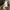 Asics Minimalist Casual Sneakers Pria white gray photo 5