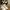 Asics Minimalist Casual Sneakers Pria white gray photo 3