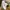 Asics Minimalist Casual Sneakers Pria white gray photo 1