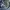 Nike Gorpcore Sportswear Windbreaker Pria white navy photo 4