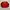 Umbro Sportswear Pria red black photo 1