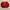 Umbro Sportswear Pria Red Black