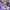 Nike Y2K Pria gray photo 6