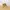 Caterpillar Streetwear Gorpcore Boots Wanita khaki cream photo 1