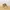Caterpillar Streetwear Gorpcore Boots Wanita Khaki Cream