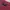 JanSport Streetwear Casual T-shirt Pria red photo 3