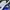 Nike Vintage Sportswear Sneakers Pria white blue photo 8