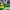 Nike Vintage Sportswear Sneakers Pria green yellow photo 7