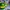 Nike Vintage Sportswear Sneakers Pria green yellow photo 6