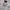 Polo Ralph Lauren Streetwear Casual Polo shirt Pria white photo 2