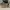 Chanel Futurist Casual Crossbody Bag Wanita gold photo 8
