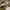 Chanel Futurist Casual Crossbody Bag Wanita gold photo 4