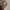 Chanel Futurist Casual Crossbody Bag Wanita gold photo 7