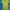 Sportswear Jersey Pria yellow photo 1