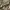 Dior Streetwear Luxury Formal shirt Pria multicolor photo 5