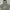 Nike Streetwear Avant Garde Sweatshirt Wanita gray photo 2