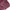 Grunge Casual Short Wanita burgundy photo 3