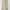 Dickies Streetwear Casual Casual pants Pria cream photo 2