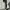 Japanese brand Streetwear Formal pants Pria green photo 7