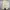 Uniqlo Streetwear Lolita High waisted jeans Wanita cream photo 4