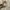 Stussy Streetwear Skater Hoody Pria silver white photo 4