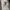 Stussy Streetwear Skater Hoody Pria silver white photo 7