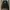 Stussy Streetwear Skater Hoody Pria black photo 2