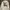 Stussy Streetwear Skater Hoody Pria silver white photo 1