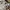 LAINE Luxury Minimalist Sweater Pria cream photo 3