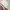 LAINE Luxury Minimalist Sweater Pria cream photo 2