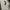 Stussy Streetwear Skater Hoody Pria silver white photo 8