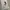 Stussy Streetwear Skater Hoody Pria silver white photo 8